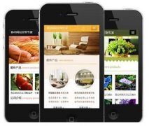 手機(jī)網(wǎng)站怎樣做才更有效果？如何做優(yōu)化？