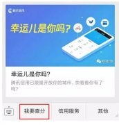騰訊信用分全國(guó)公測(cè)，查了一下之后懵逼了。。