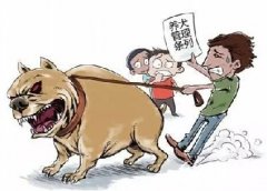 青島10月份一大波勁爆消息，你知道嗎？