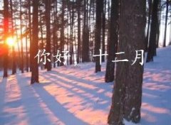 抓住2016年的尾巴給自己充充電！12月，加油！
