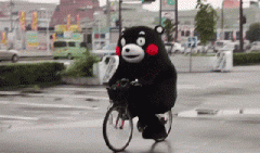 青島也有“共享單車(chē)”啦！說(shuō)騎就騎的旅程GO