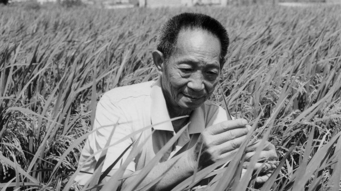沉痛哀悼！袁隆平院士逝世